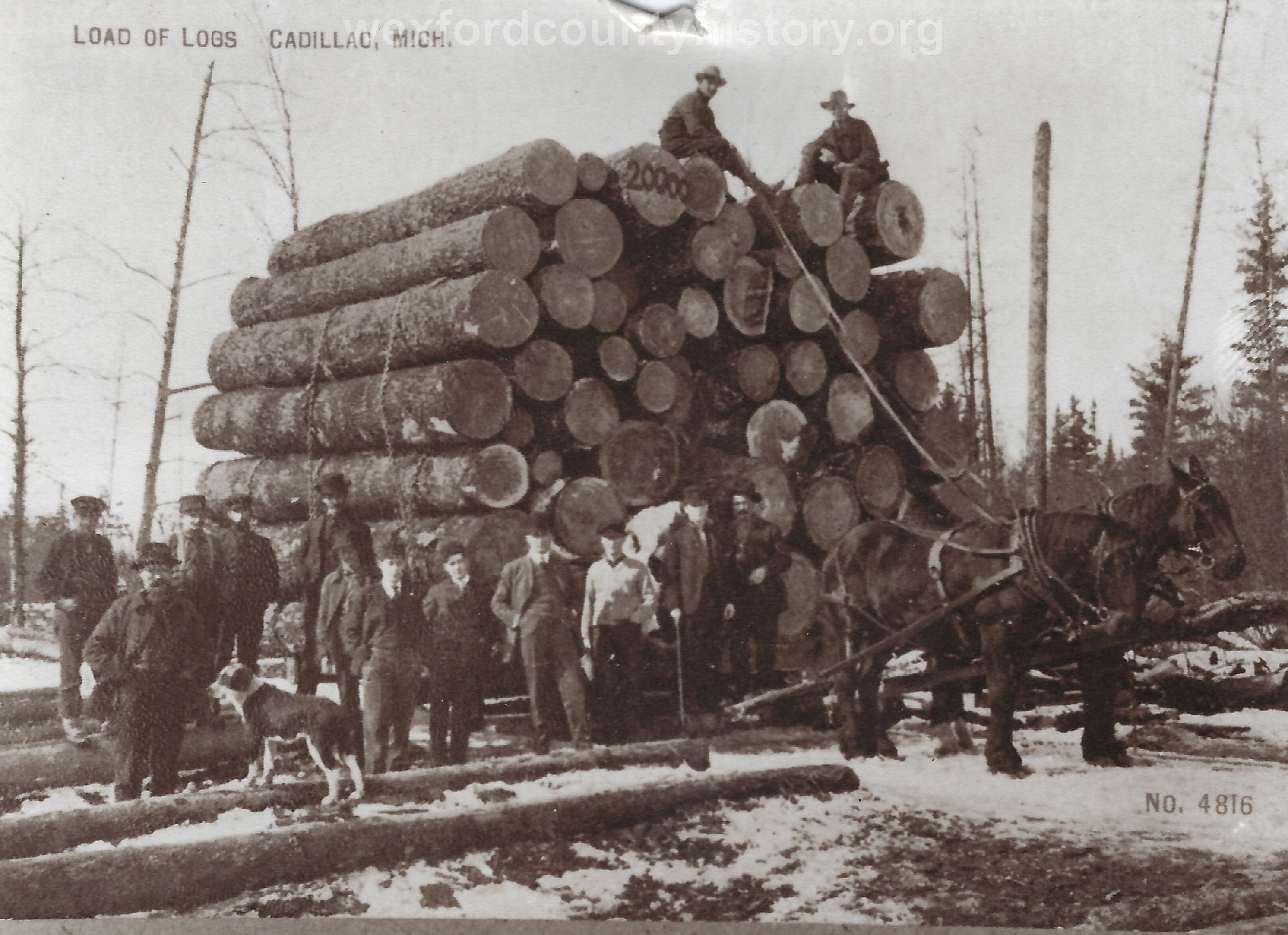 1_Cadillac-Lumber-Load-Of-Logs-Cadillac-Michigan