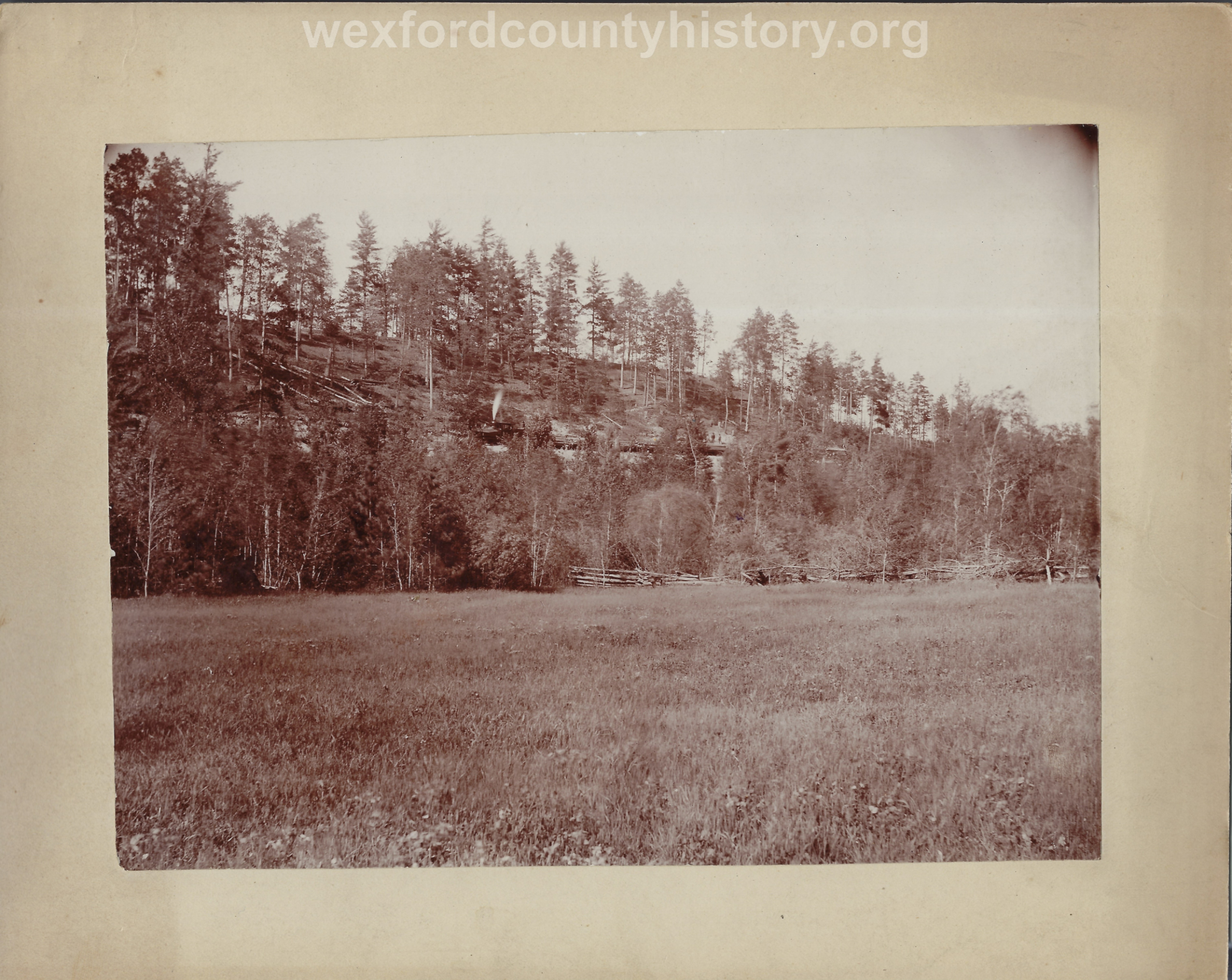 Cadillac-Lumber-Hill-of-Logs-In-The-Wexford-County-Countryside-1