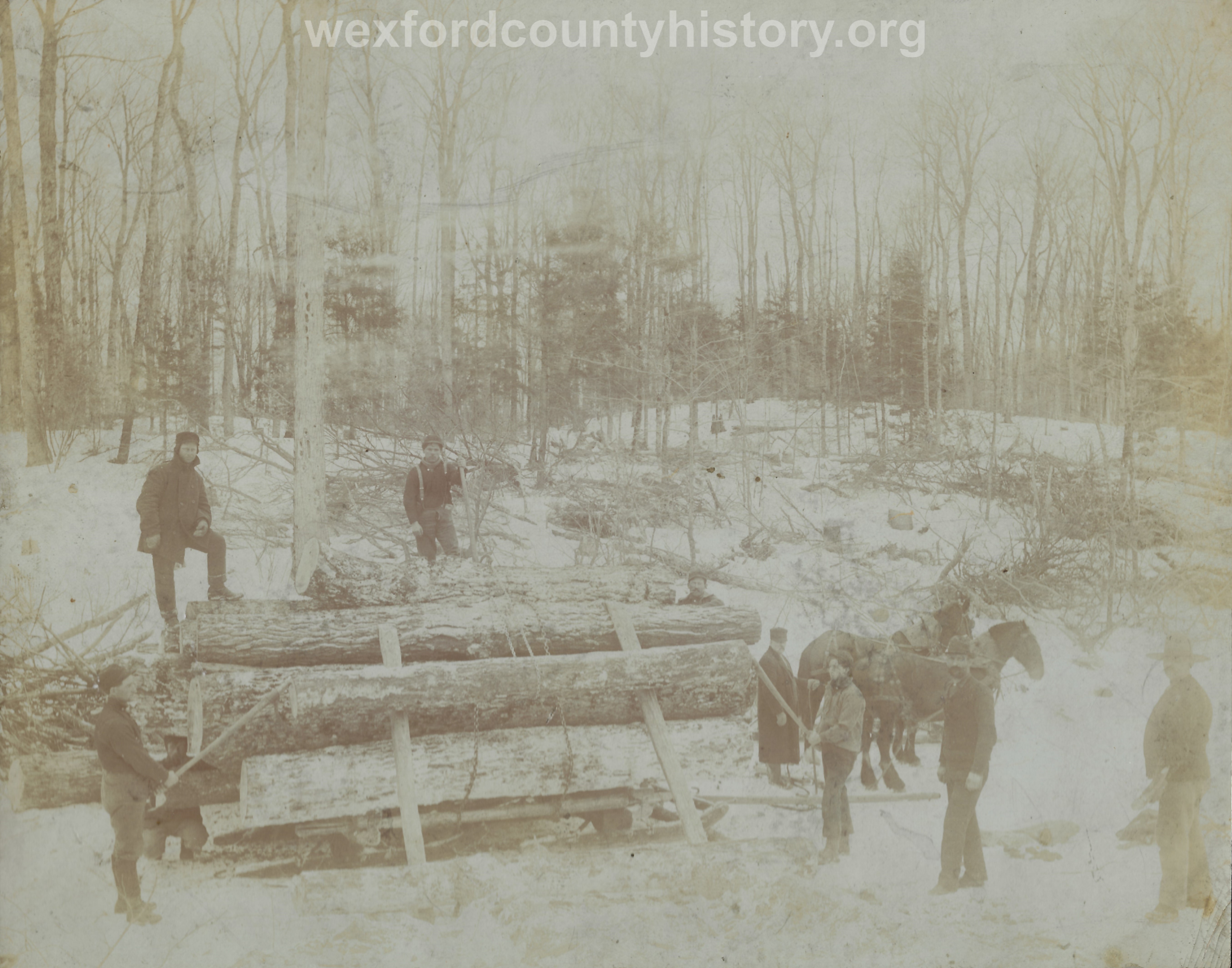 Cadillac-Lumber-Horse-Team-Pulling-Load-Of-Logs-On-Sled-2