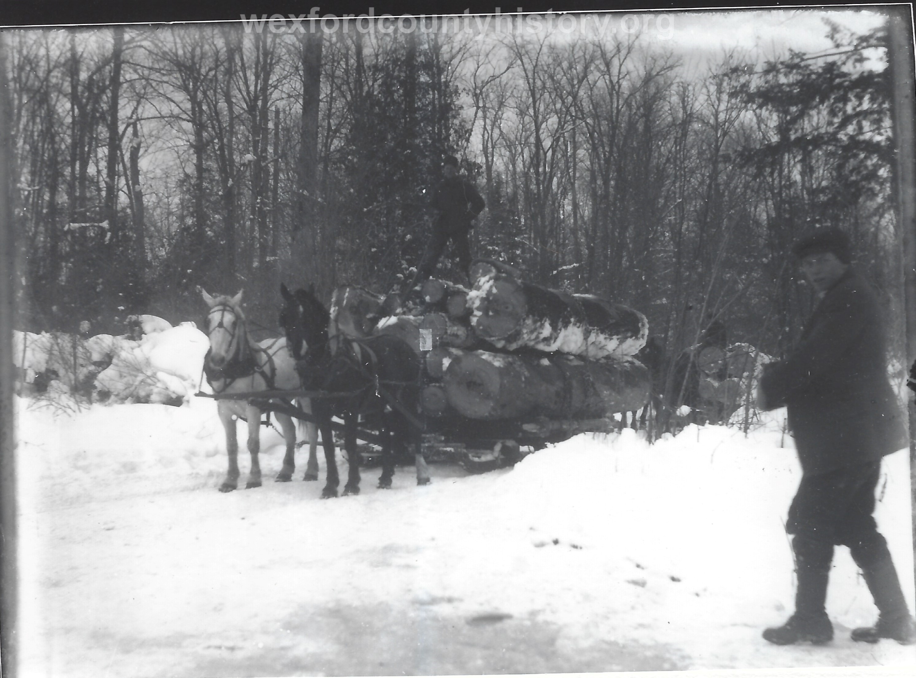 Cadillac-Lumber-Horse-Team-Pulling-Load-Of-Logs-On-Sled-4