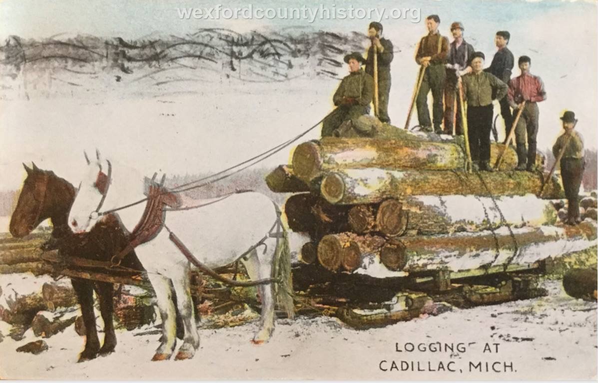 Cadillac-Lumber-Logging-At-Cadillac-Michigan