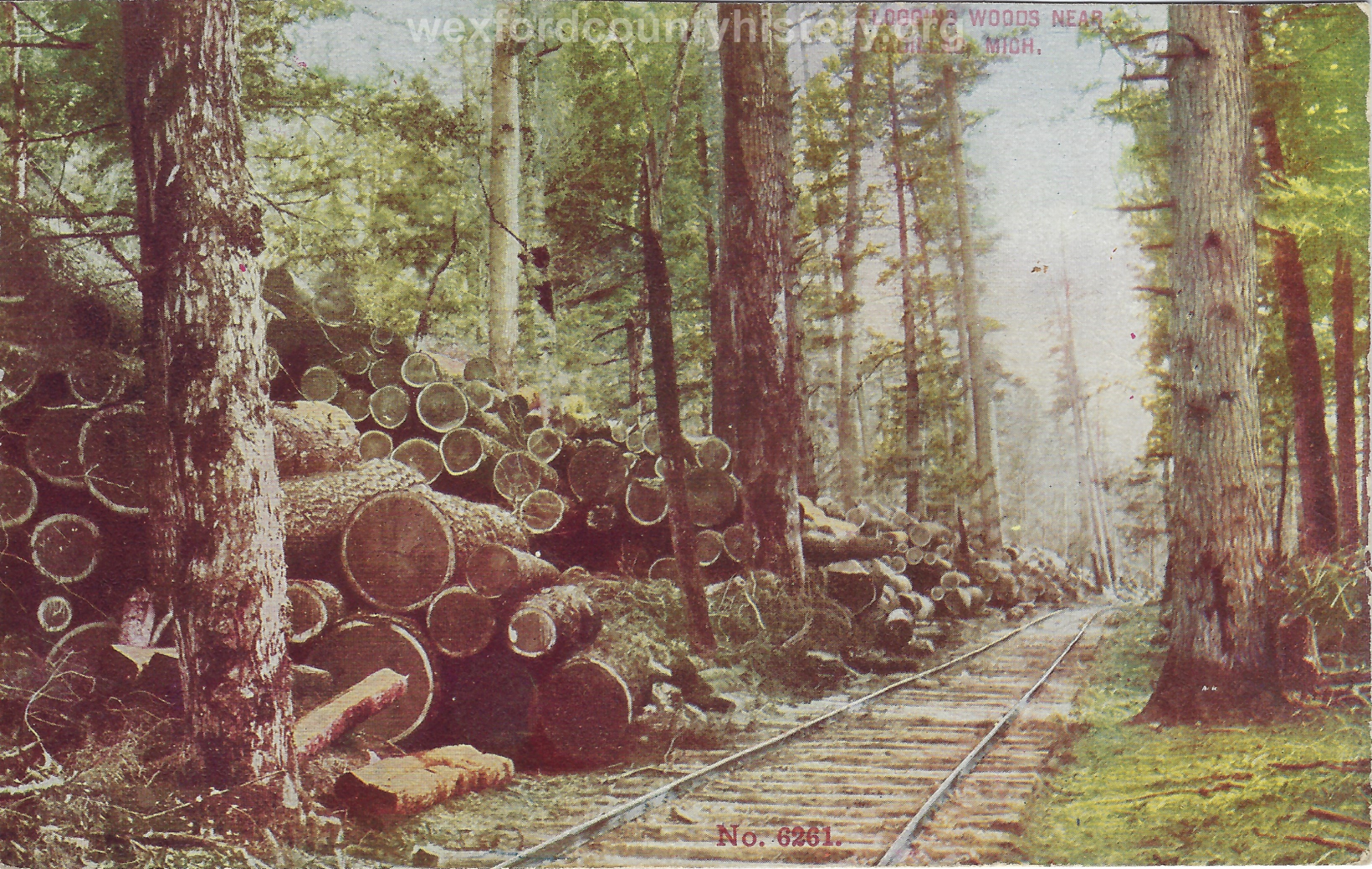 Cadillac-Lumber-Logging-Woods-Near-Cadillac-Michigan