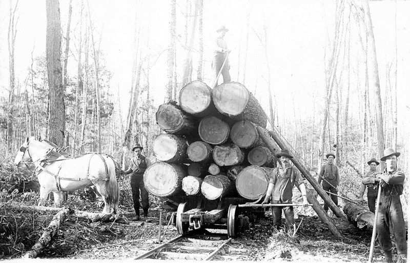 Loading a Logging Car