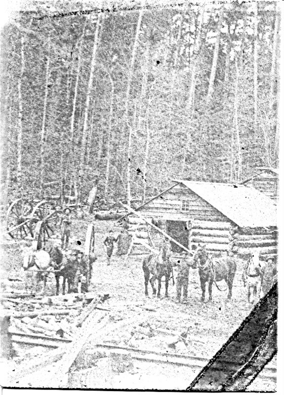 Typical Logging Camp