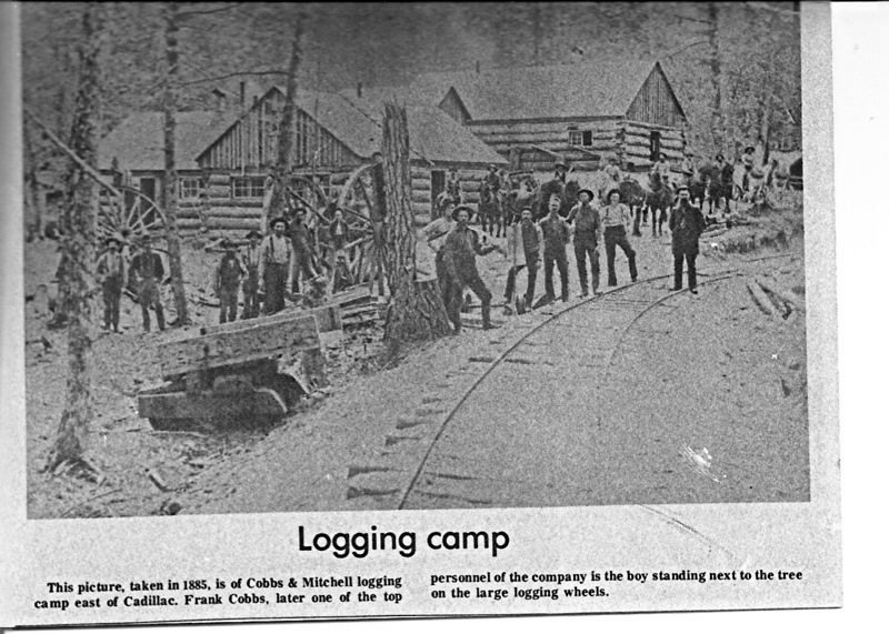 Cobbs and Mitchell Logging Camp
