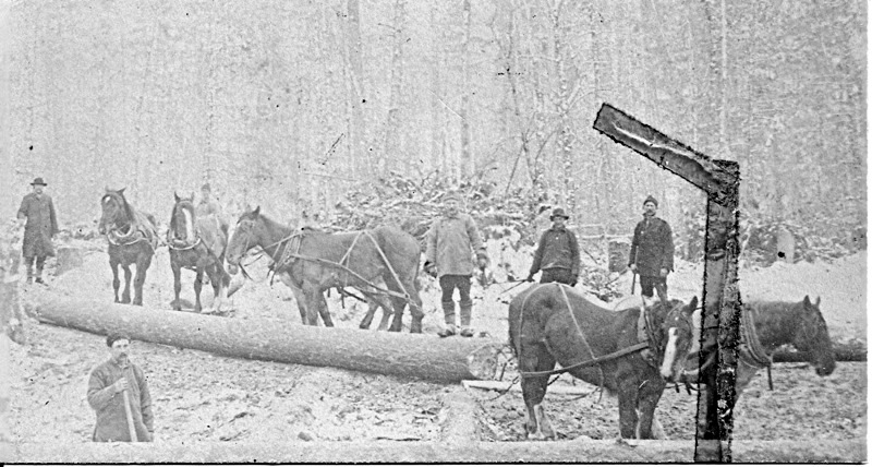 Horses and Men at Cutting Site