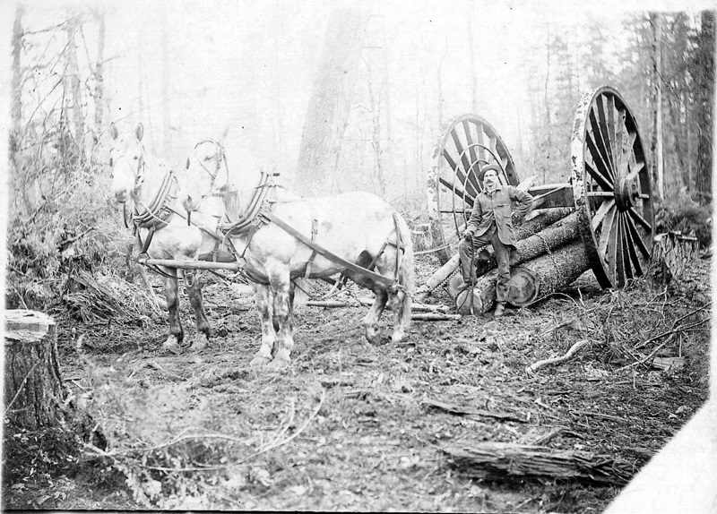 Logs Moved by Big Wheels