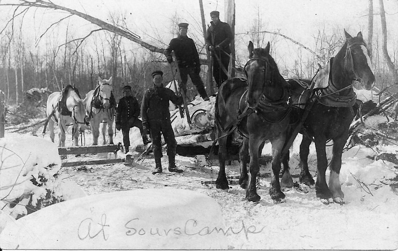 Removing Logs at A Sours Camp