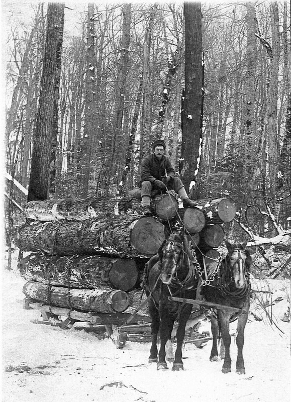 Removing Logs from the Forest