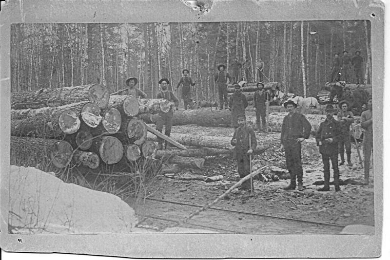 Logs Stacked by Tracks Await Transport to a Mill