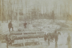 Cadillac-Lumber-Horse-Team-Pulling-Load-Of-Logs-On-Sled-2