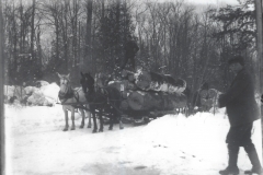 Cadillac-Lumber-Horse-Team-Pulling-Load-Of-Logs-On-Sled-4