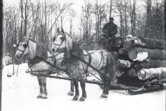 Cadillac-Lumber-Horse-Team-Pulling-Load-Of-Logs-On-Sled-5