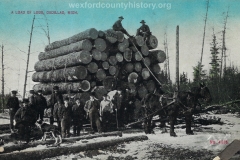Cadillac-Lumber-Load-Of-Logs-Cadillac-Michigan-2