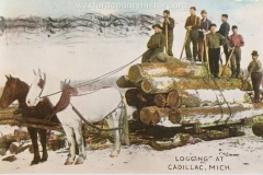 Cadillac-Lumber-Logging-At-Cadillac-Michigan