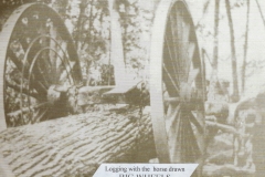 Cadillac-Lumber-Michigan-Logging-Wheels-4