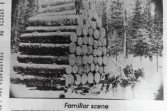 Cadillac-Lumber-Misc-Lumber-Scene-1-45