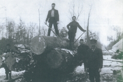 Cadillac-Lumber-Misc-Lumber-Scene-1-48