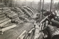 Wexford-County-Lumber-Cummer-And-Diggins-Company-Banking-Grounds-On-Jewett-Lake-between-Harietta-and-Mesick-Circa-1910s