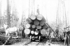 Loading a Logging Car