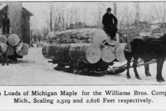 Sleigh Loads of Timber in Cadillac