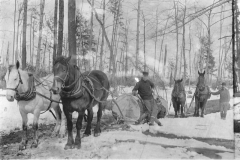 Moving Big Logs