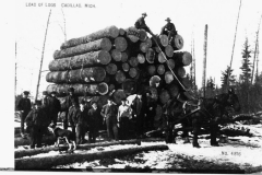 Logs Loaded for Transport to the Mill