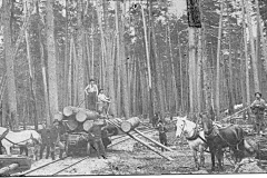 Loading Logs on Rail Cars