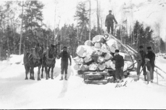 Logs Loaded for Transport