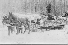 Horses Deliver Logs to the Rails