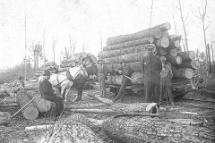 Logs Await Transport