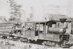 Climax Locomotive in Missaukee County