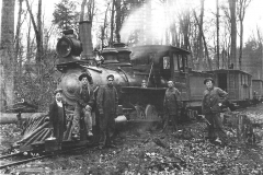 Manistee and Luther Railroad