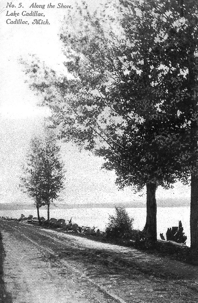 Lake Cadillac Roadway