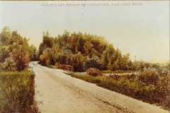 Cadillac-Recreation-Old-Outlet-Bridge-The-North-Boulevard-roadway-was-constructed-by-the-Mitchell-family.-This-1907-or-earlier.-photo-was-taken-approaching-the-Black-Creek-5