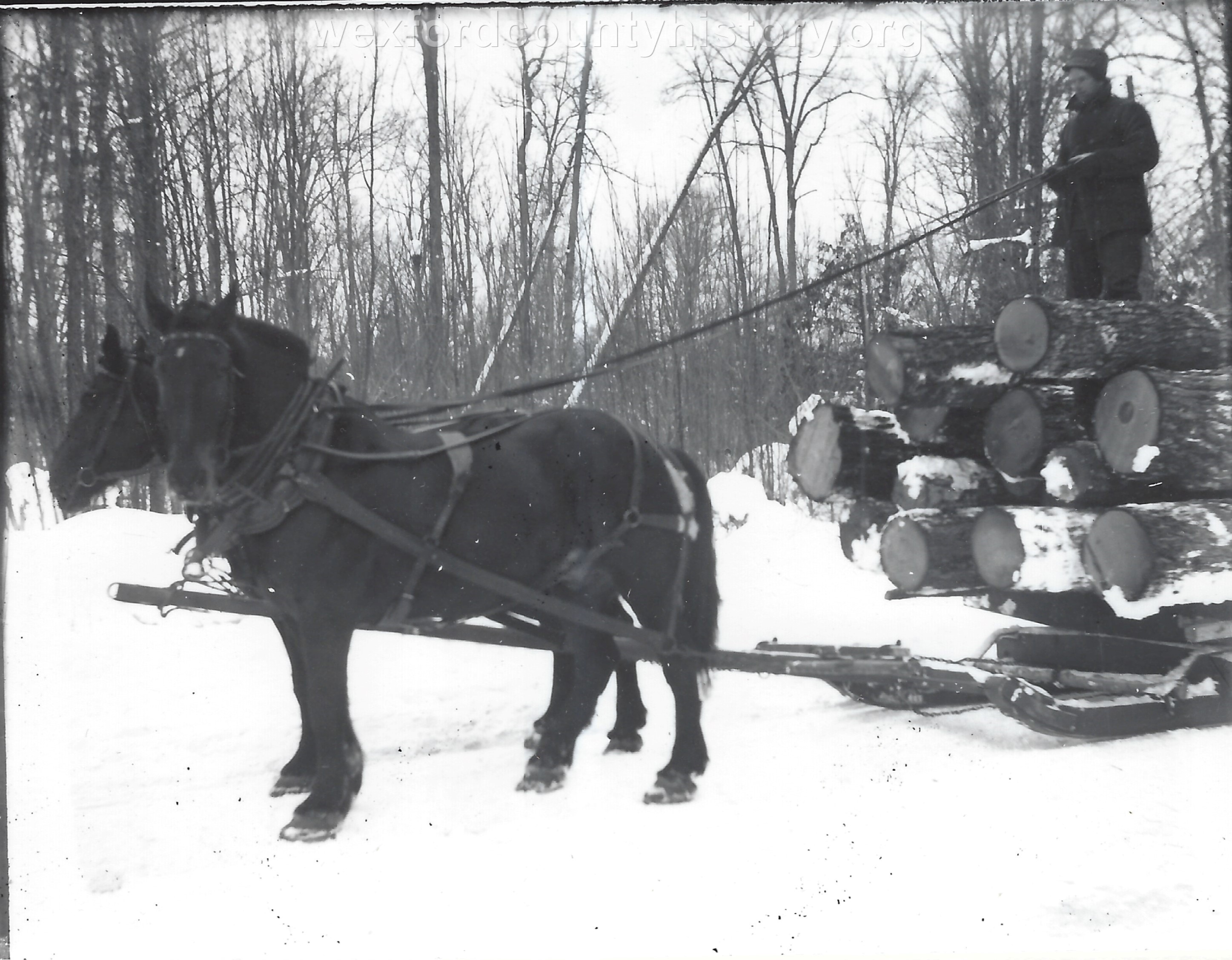 Cadillac-Lumber-Horse-Team-Pulling-Load-Of-Logs-On-Sled-1