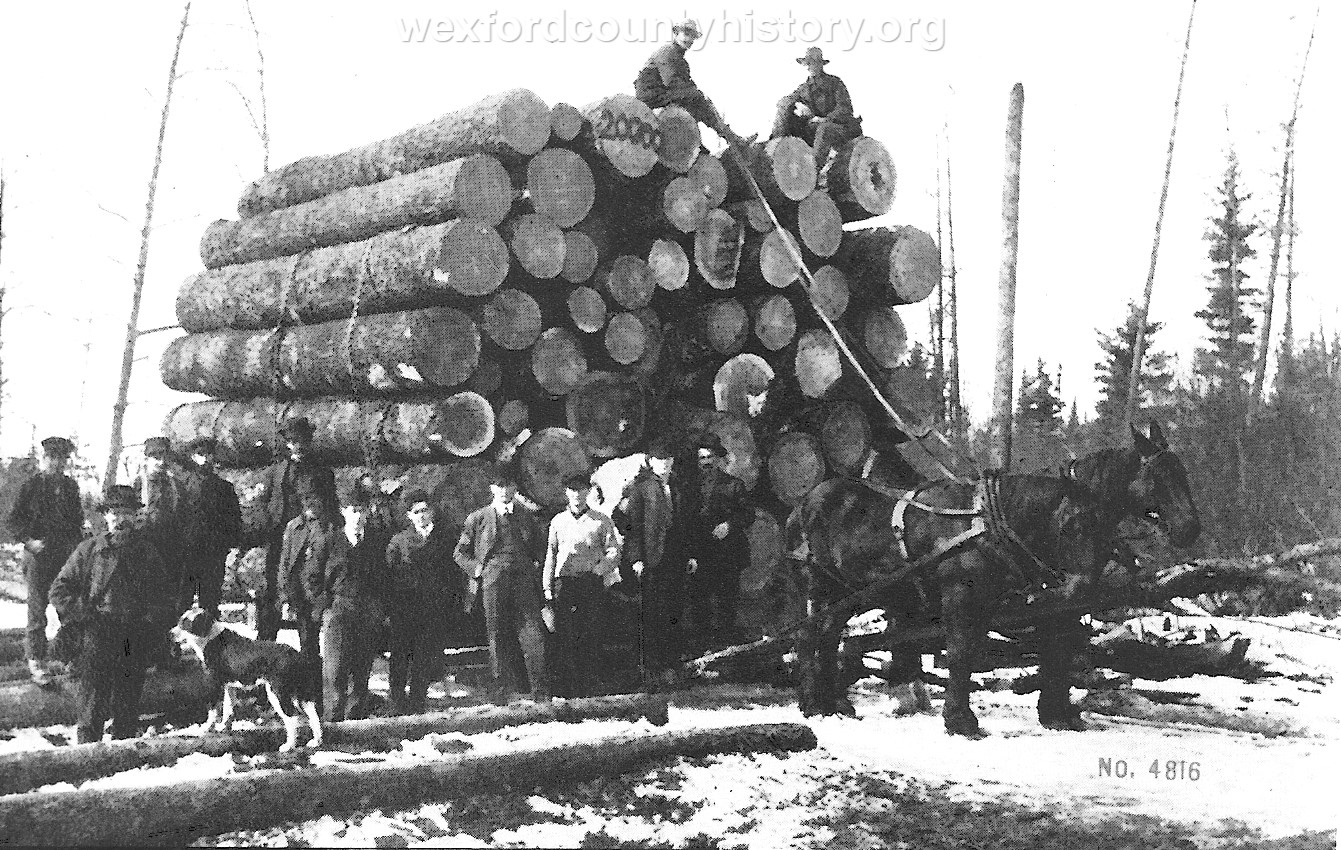 Cadillac-Lumber-Load-Of-Logs-Cadillac-Michigan