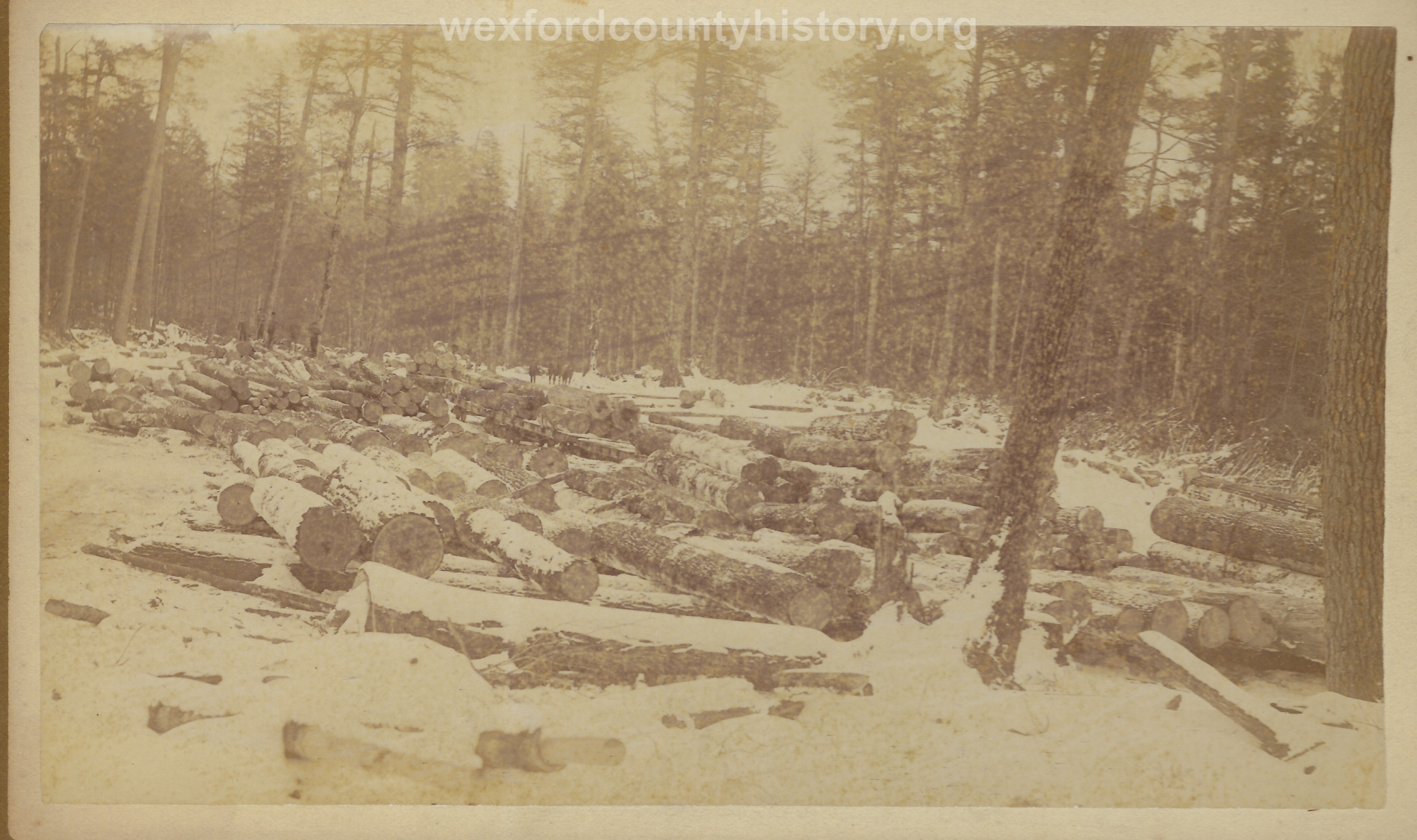 Cadillac-Lumber-Logs-In-The-Snow