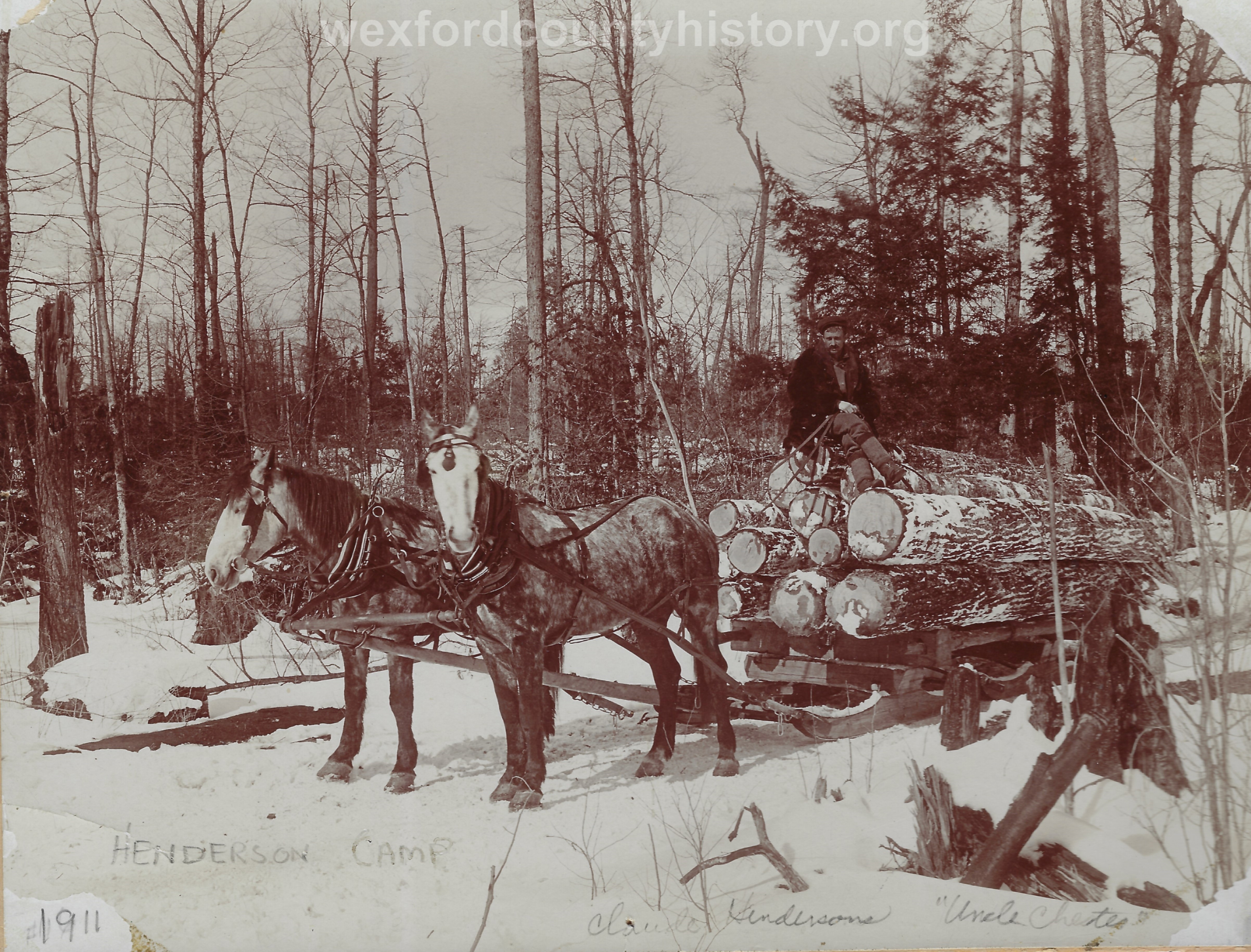 Cadillac-Lumber-Lumberjack-With-Two-Horse-Team-Pulling-Logs-By-Henderson-Camp