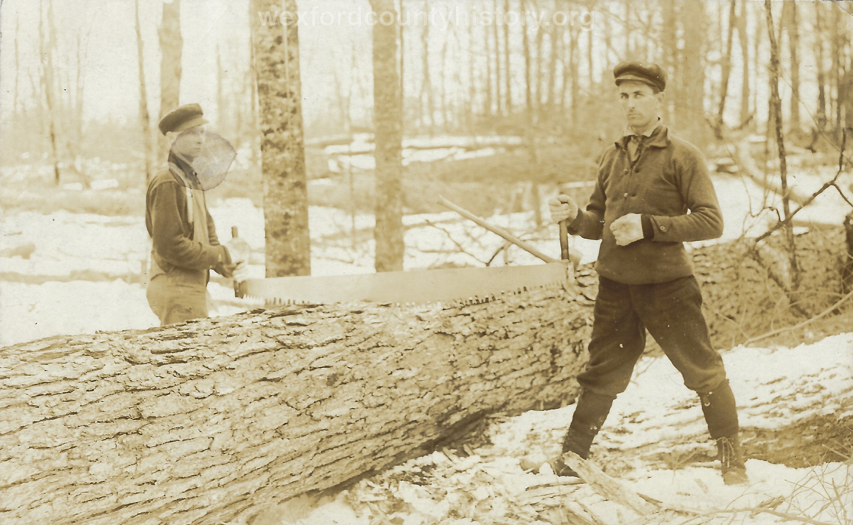 Cadillac-Lumber-Two-Lumberjacks-With-A-Two-Person-Saw