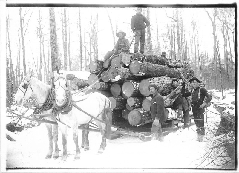 Logs Being Transported to the Rail Siding