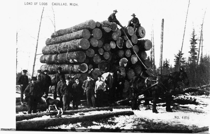 Logs Loaded for Transport to the Mill