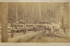 Cadillac-Lumber-Horse-Team-Gets-Ready-To-Pull-A-Huge-Log-While-Lumberjacks-Pose
