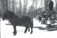 Cadillac-Lumber-Horse-Team-Pulling-Load-Of-Logs-On-Sled-1