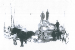 Cadillac-Lumber-Horse-Team-Pulling-Load-Of-Logs-On-Sled-11
