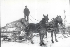Cadillac-Lumber-Horse-Team-Pulling-Load-Of-Logs-On-Sled-8