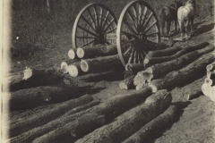 Cadillac-Lumber-Horse-Team-Pulling-Logs