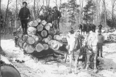 Cadillac-Lumber-Loading-Logs-For-Transport