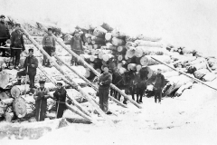 Piling Logs at a Sours Camp