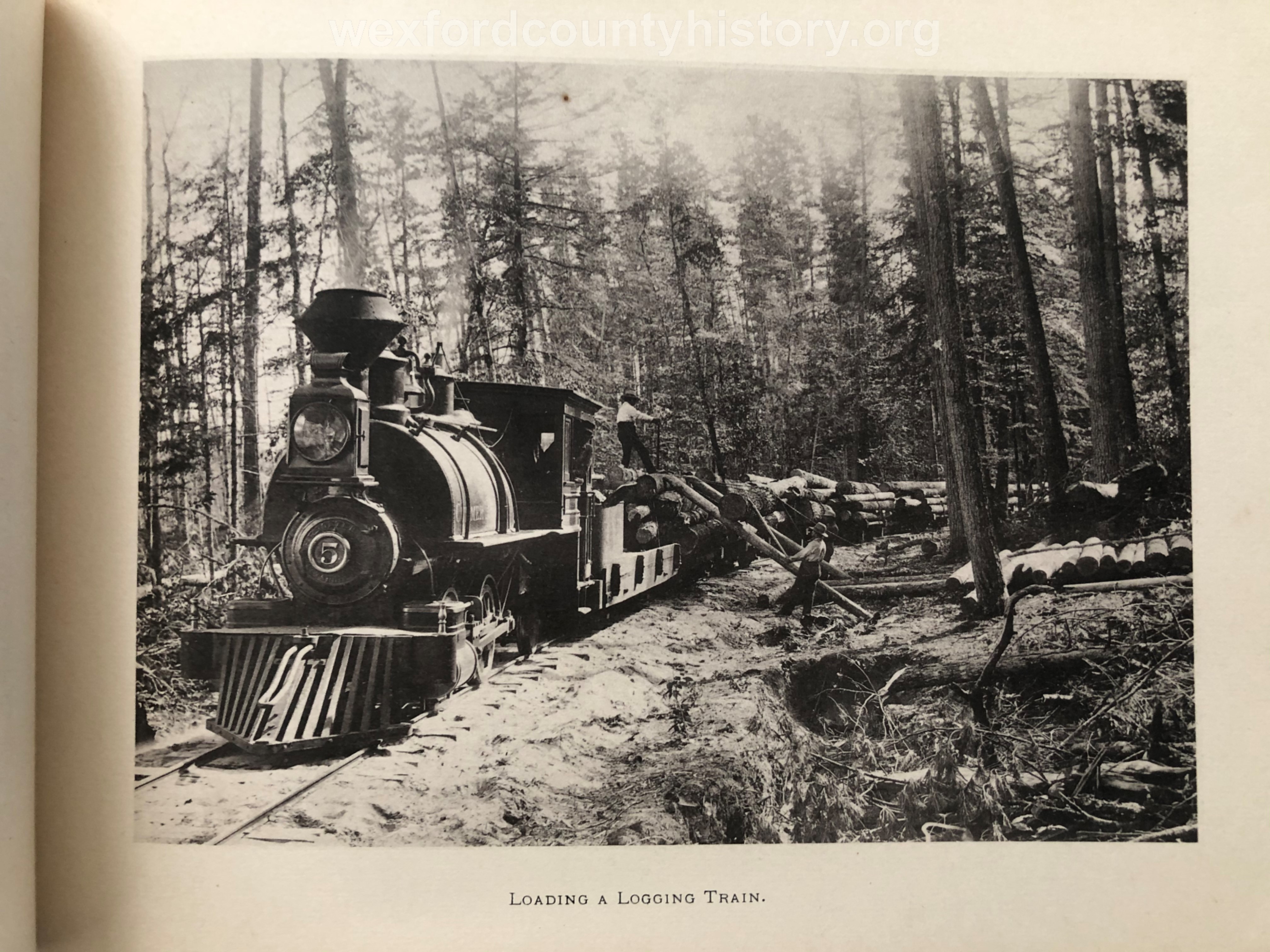 Cadillac-Lumber-Cummer-Workers-Loading-A-Logging-Train-circa-1891